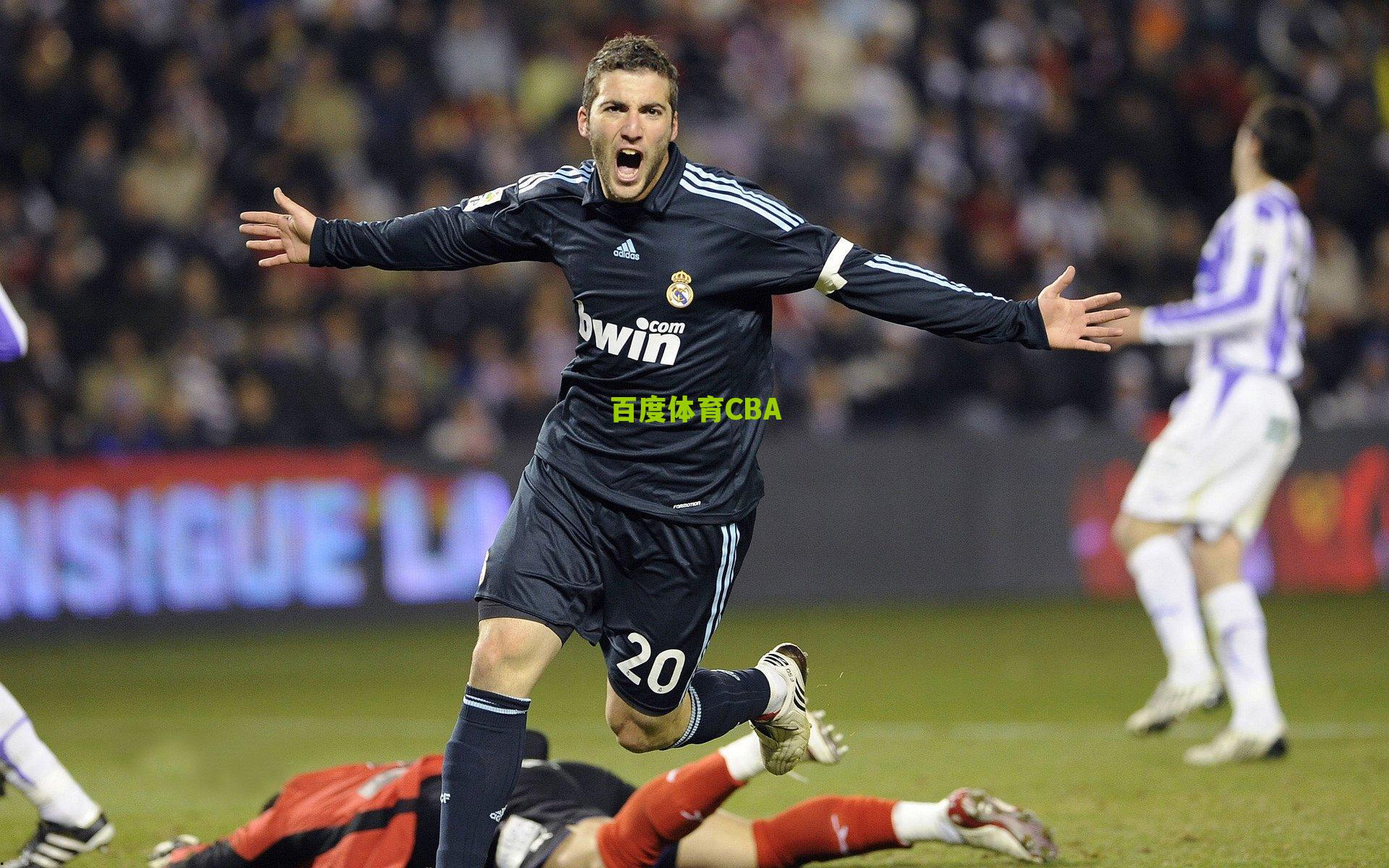 绿茵场上的永恒赞歌,拼搏精神铸就足球不朽灵魂